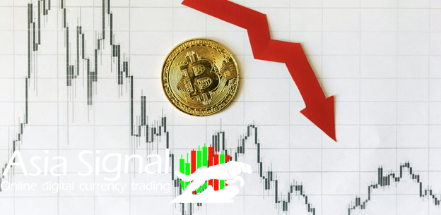 What is the reason for the continued decline of the cryptocurrency market?