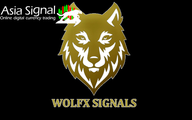 WOLFX, best Futures Signal Telegram