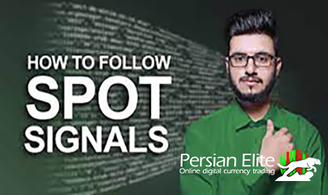 Spot Signal 