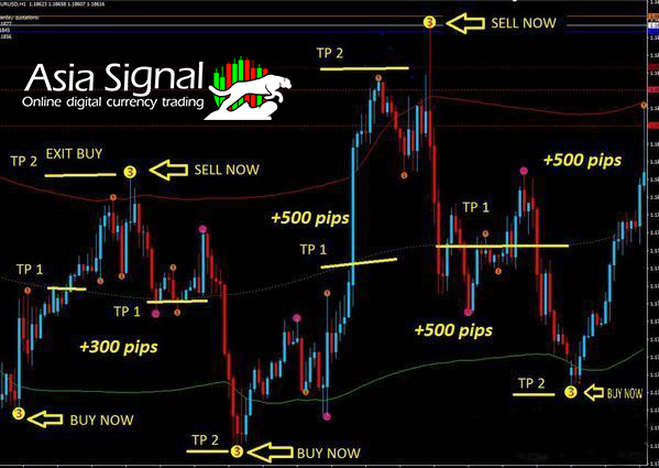 Scalp Indicator