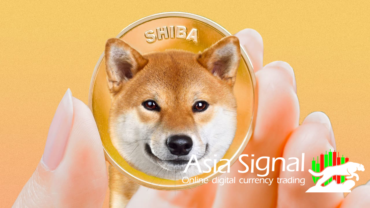 What is Shiba (SHIB)?