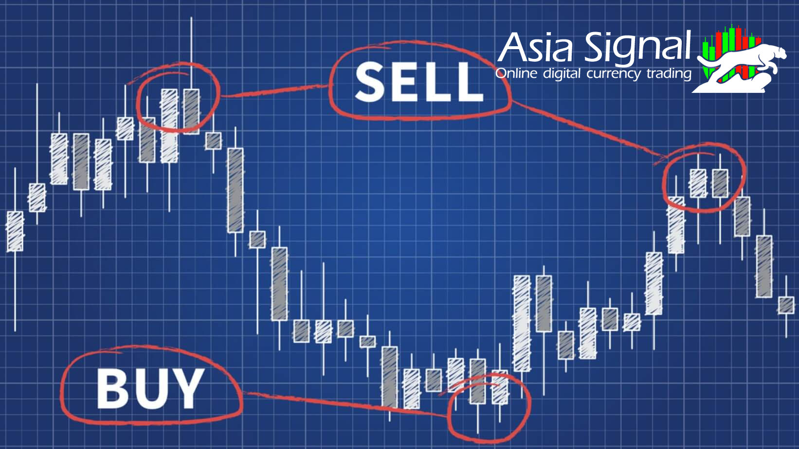 Can You Make Considerable Profits from the Following Trusted Trading Signals Providers? 