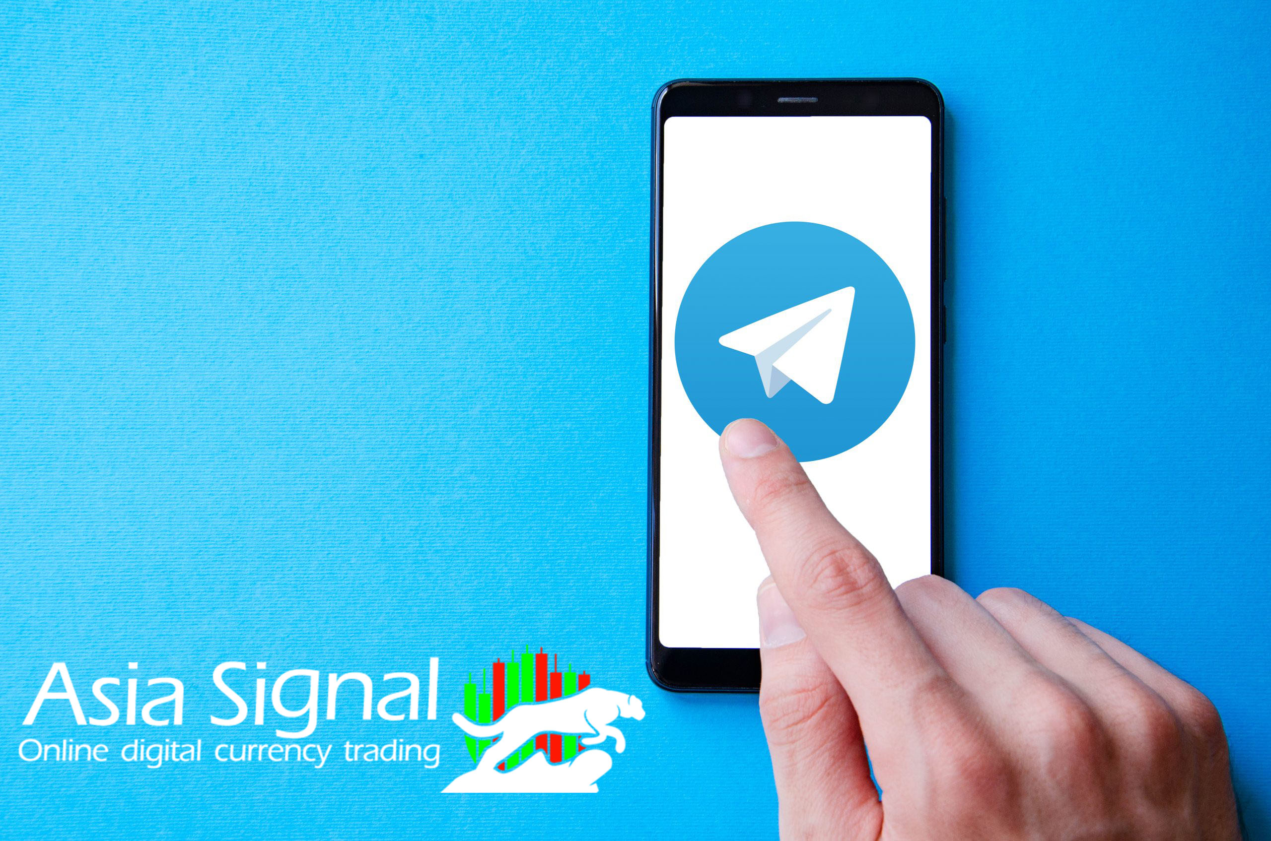 VIP crypto signal telegram