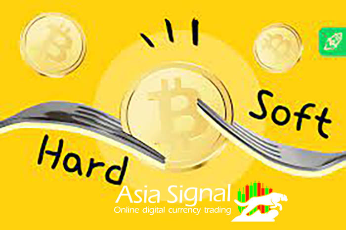 Hard and Soft Forks in Blockchain: Exploring the Evolutionary Paths of Distributed Ledgers