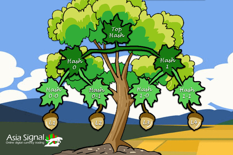 what is Merkle Tree?