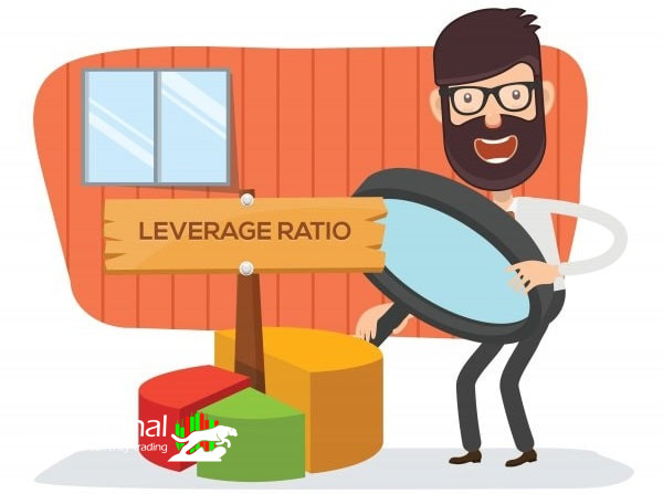 Understanding Leverage Ratio in Cryptocurrency Trading: Risks and Rewards