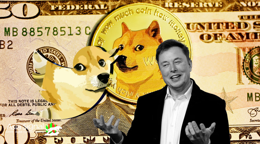 Dogecoin (DOGE): The Internet's Favorite Cryptocurrency