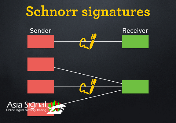 Unveiling the Security and Efficiency: The Schnorr Signature