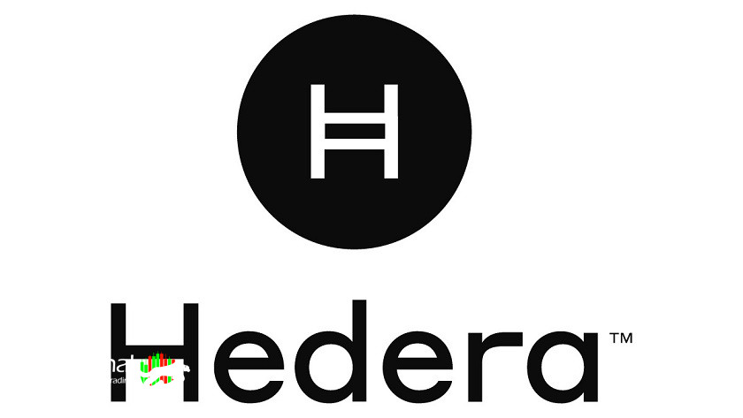  HEDERA: The Future of Cryptocurrency and Distributed Ledger Technology