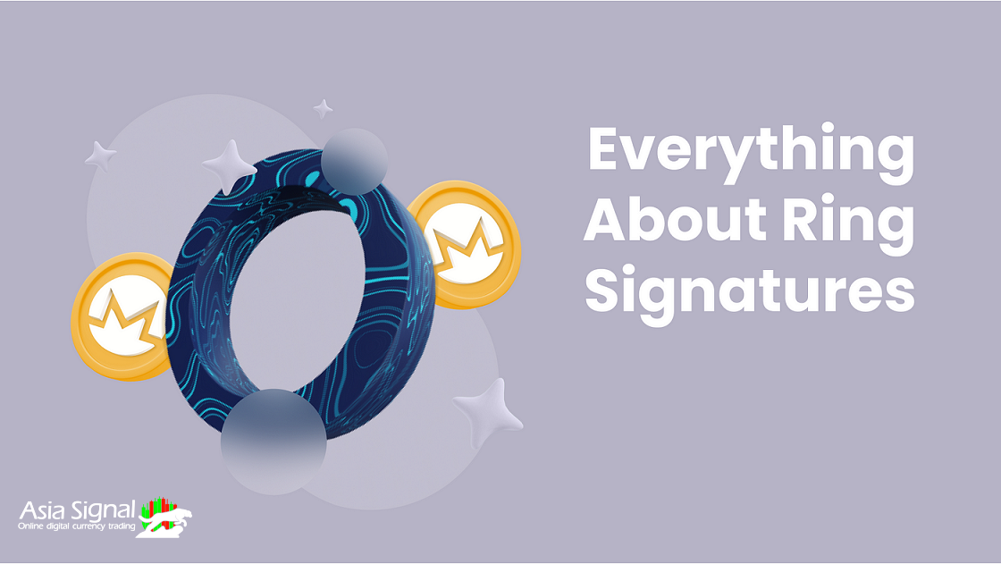 Understanding Ring Signatures: A Powerful Tool for Privacy in Digital Transactions