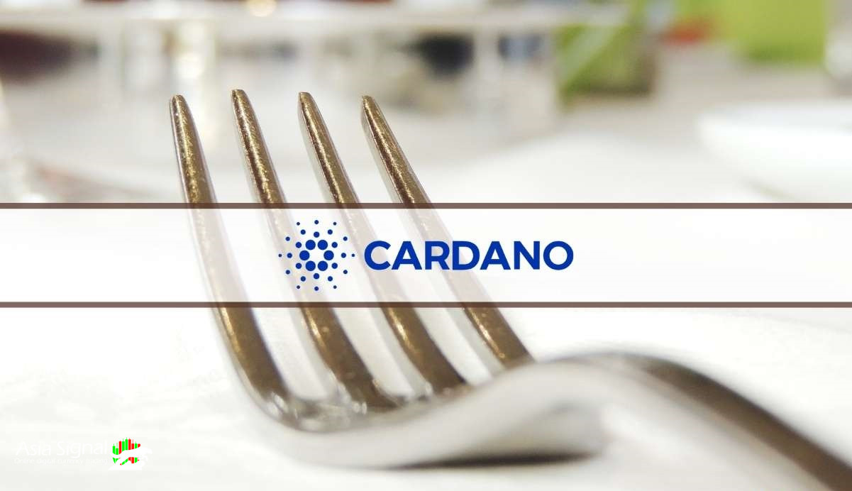 Exploring the Impact of Cardano Hard Forks on Blockchain Evolution